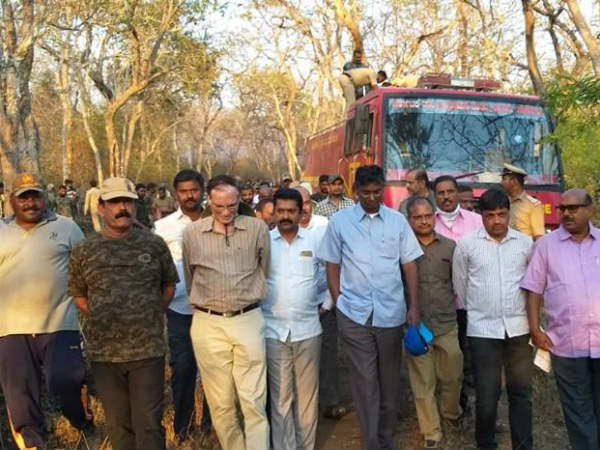 ಒನ್ ಇಂಡಿಯಾ: ಬಂಡೀಪುರದಲ್ಲಿ ಈಗಿನ ಪರಿಸ್ಥಿತಿ ಹೇಗಿದೆ?