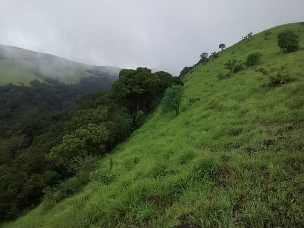 ಪ್ರವಾಸಿಗಳ ಗಮನಕ್ಕೆ