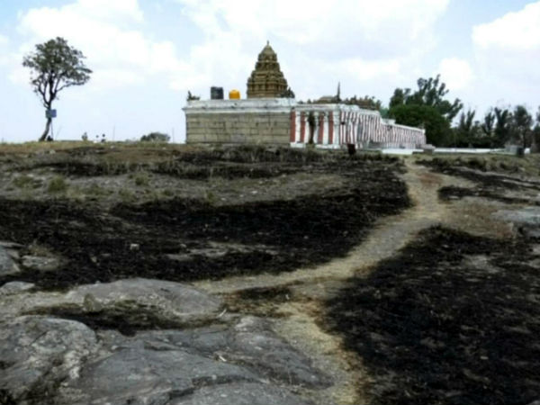 ಅರಣ್ಯ ಪುನಶ್ವೇತನಕ್ಕಾಗಿ ಜಪ ತಪ ಪೂಜೆ