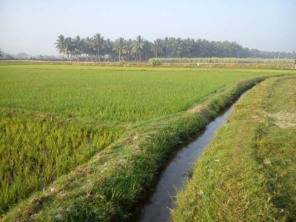 ನೀರಾವರಿಗೆ 17212 ಕೋಟಿ ಅನುದಾನ