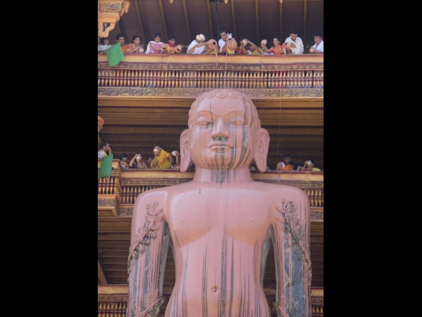 ಕಾಶ್ಮೀರದಿಂದ ತಂದ ಕೇಸರಿ