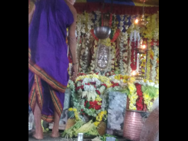 ನಾಗಾರಾಧನೆಗೆ ಮಾತ್ರ ಹೆಚ್ಚಾಗಿ ಪಿಂಗಾರವನ್ನು ಬಳಸಿಕೊಳ್ಳಲಾಗುತ್ತದೆ