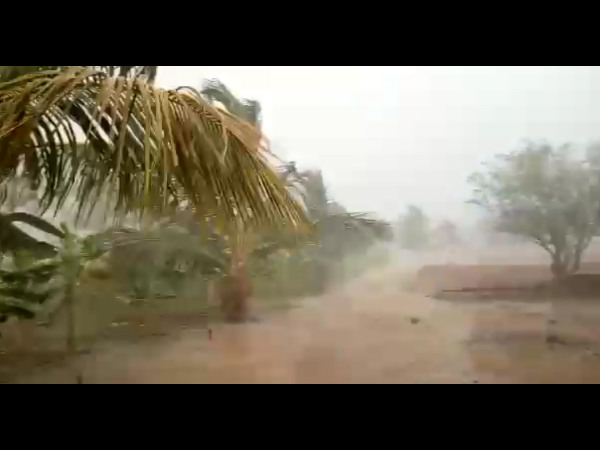 ಸುಟ್ಟು ಭಸ್ಮವಾದ ಅರಣ್ಯ ಪ್ರದೇಶ
