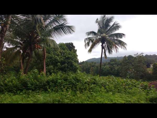 ಏನೂ ಇಲ್ಲದಂತೆ ಬದುಕಬೇಕಾದ ಸ್ಥಿತಿ