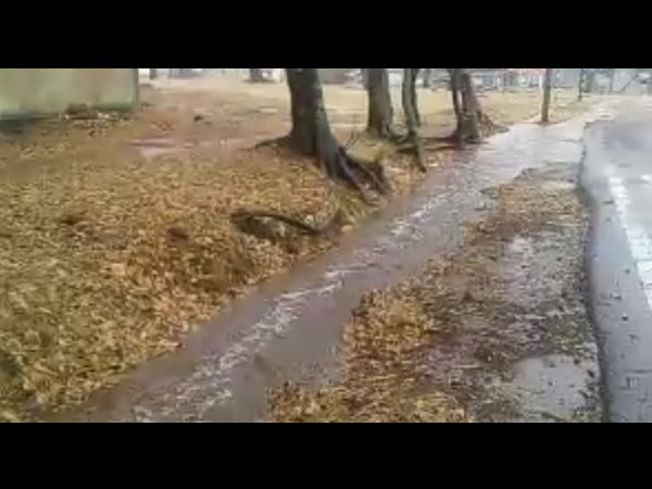 ಸಾಧಾರಣ ಮಳೆಯಾಗಿದೆ