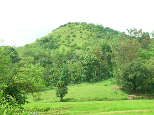 ಬಹಳಷ್ಟು ಬೆಳೆಗಾರರ ನಿರ್ಲಕ್ಷ್ಯ