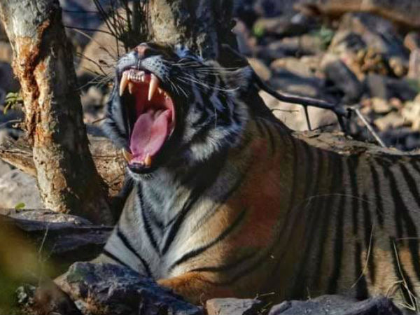 ರಣಸ್ಥಂಭ ಜೈನರ ಪುಣ್ಯಭೂಮಿ