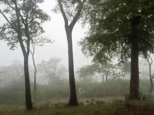 ಬೆಂಕಿಯ ಕೆನ್ನಾಲಿಗೆಗೆ ಸಿಲುಕುತ್ತಿರುವ ಅರಣ್ಯ