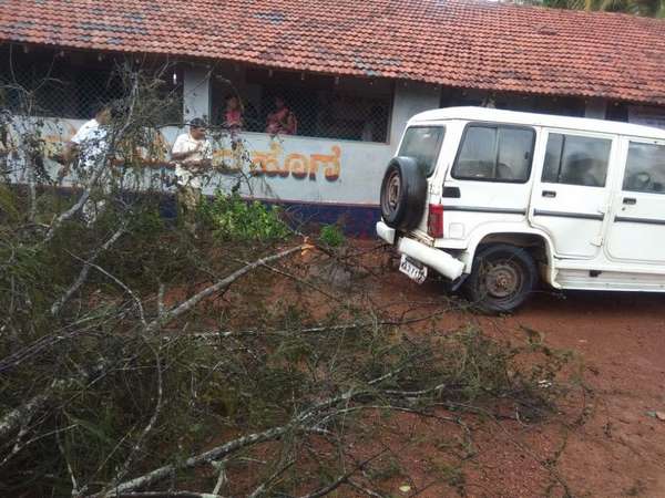ಧರೆಗುರುಳಿದ ಮರಗಳು