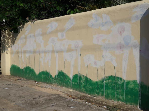 ಎನ್ಜಿಓ ಬಣ್ಣ ಬಳಿಸಿತ್ತು