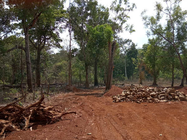 5 ಲಕ್ಷ ಗಿಡ ಮರ ನಾಶ