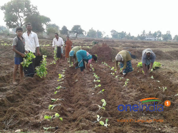 ಬೆಳೆಯುವುದನ್ನು ಮಾತ್ರ ಬಿಡುತ್ತಿಲ್ಲ