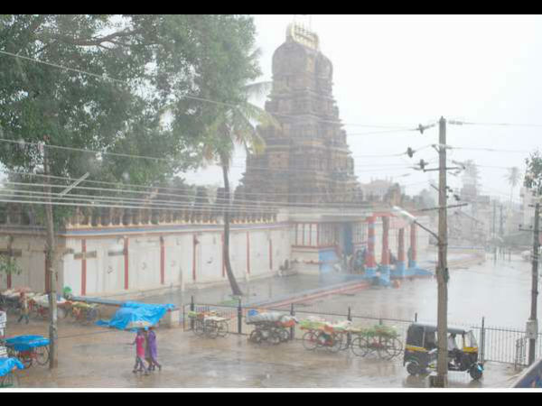 ಈ ಬಾರಿ ಉತ್ತಮ ಮಳೆ