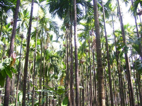 ಹೀಗೆ ಮಾಡಿದರೆ ಮುಗಿತು