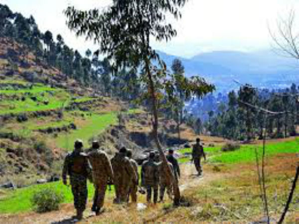 ಚಿಕಿತ್ಸೆ ವೇಳೆ 20 ಮಂದಿ ಉಗ್ರರು ಸಾವನ್ನಪ್ಪಿದ್ದಾರೆ