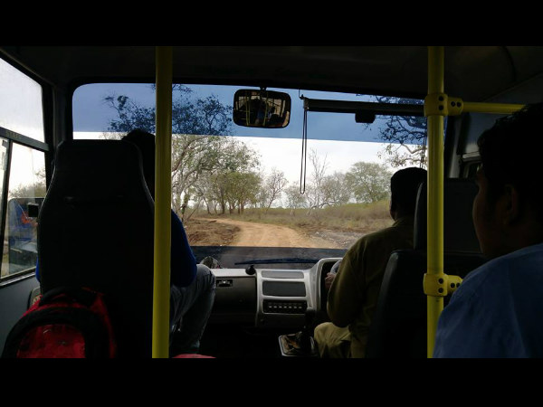 ಹುಲ್ಲನ್ನು ಮೇಯಲು ಆಗಮಿಸುವ ಜಿಂಕೆಗಳು
