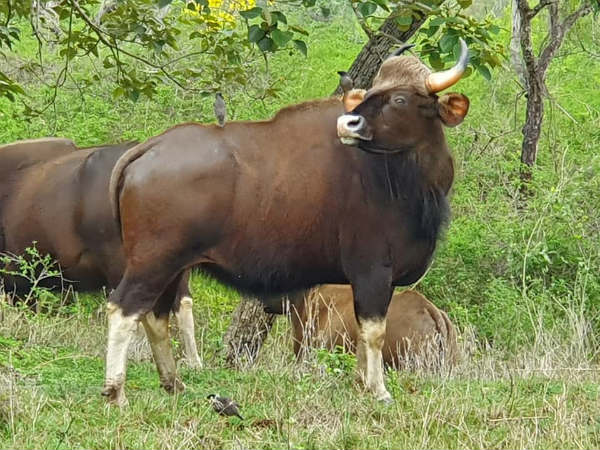 ಸೂಕ್ತ ವಾಹನಗಳ ವ್ಯವಸ್ಥೆ