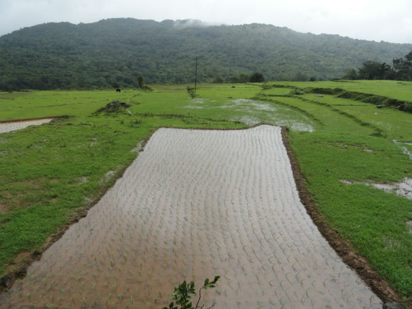 ಪ್ರಸ್ತಾವನೆ ಸಲ್ಲಿಸಲು ಅಧಿಕಾರಿಗಳಿಗೆ ಆದೇಶ
