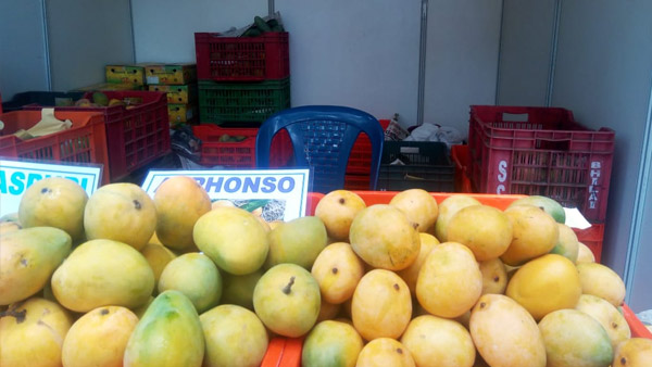 ಪ್ರತಿವರ್ಷ ಎಷ್ಟು ಇಳುವರಿ ನಿರೀಕ್ಷೆ