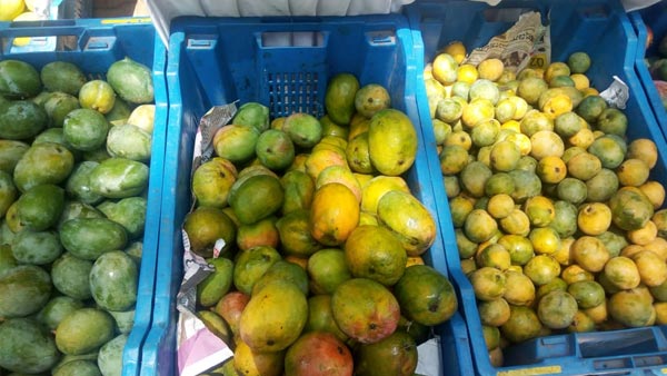 ಎಲ್ಲಾ ಮಳಿಗೆಗಳಲ್ಲೂ ಒಂದೇ ದರ, ಶೇ.10 ರಿಯಾಯಿತಿ