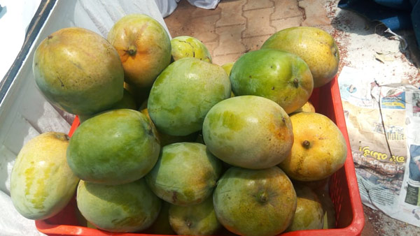 ಆನ್ಲೈನ್ನಲ್ಲಿ ಕೂಡ ಮಾವುಗಳು ಲಭ್ಯ