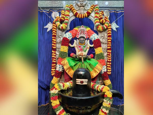 ಯುದ್ಧ ಮಾಡಿ ಗೆಲ್ಲಲು ನಿರ್ಧರಿಸಿದ್ದ ವಿಷ್ಣುವರ್ಧನ