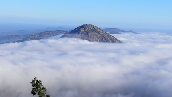ವಿಶೇಷ ಯೋಗಾಸನ ನಂತರ ರನ್