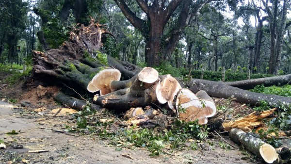 ಅ.3 ರಂದು ವಿದ್ಯುತ್ ವ್ಯತ್ಯಯ