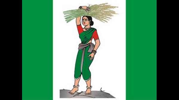 ಜೆಡಿಎಸ್, ಕರ್ನಾಟಕ