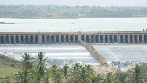 ಕೃಷಿಗೆ, ಕುಡಿಯಲು ನೀರಿನ ಕೊರತೆ