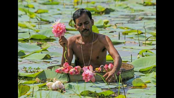 ಮುಸ್ಲಿಂ ಕುಟುಂಬವೊಂದು ಪೂರೈಸಿದ ಕಮಲ