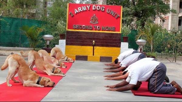 ರಾಹುಲ್ ಟ್ವೀಟ್ಗೆ ಭಾರಿ ವಿರೋಧ