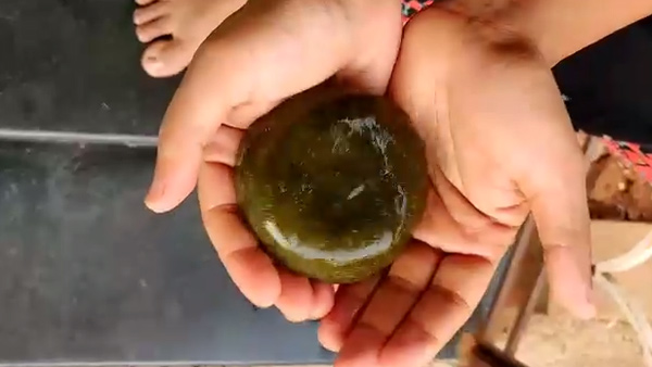 ನಮ್ಮ ಮುಖದಲ್ಲಿ ಮಕ್ಕಳಷ್ಟೇ ನಗು ತುಂಬಿಕೊಂಡಿತ್ತು.