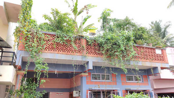ನೀರಿನ ತೊಟ್ಟಿಯಲ್ಲಿ ಆಮೆ, ಗಿಡದಲ್ಲಿ ಜೇನು