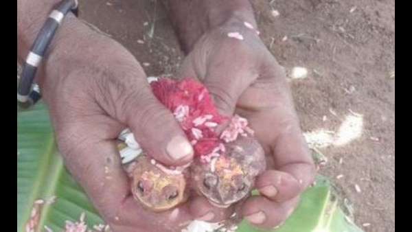 ಜುಲೈ 18-22ರ ವರೆಗೆ ಮಳೆ ಸೂಚನೆ