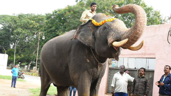 62 ವರ್ಷದ ವಿಜಯ ಬಲು ಚತುರ