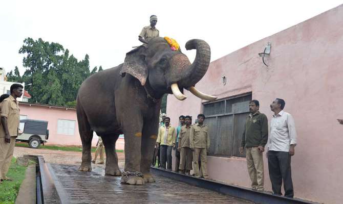 ಕಾಕನಕೋಟೆಯಲ್ಲಿ ವರಲಕ್ಷ್ಮಿಯದ್ದೆ ಕಾರುಬಾರು