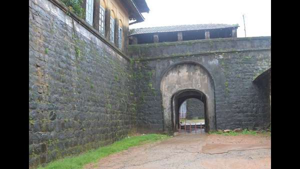ಬೇಟೆನಾಯಿಗೆ ತಿರುಗಿ ಬಿದ್ದ ಮೊಲ