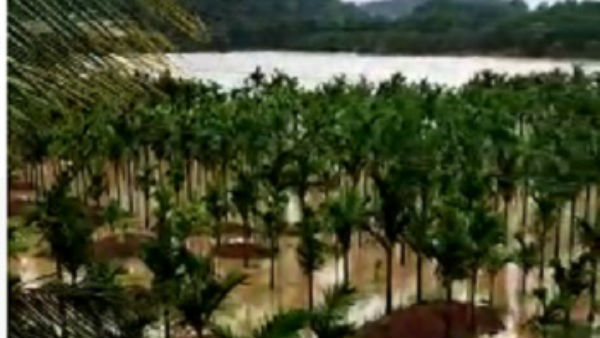 30ಕ್ಕೂ ಹೆಚ್ಚು ಎಕರೆ ಅಡಿಕೆ, ಭತ್ತದ ಗದ್ದೆ ಜಲಾವೃತ