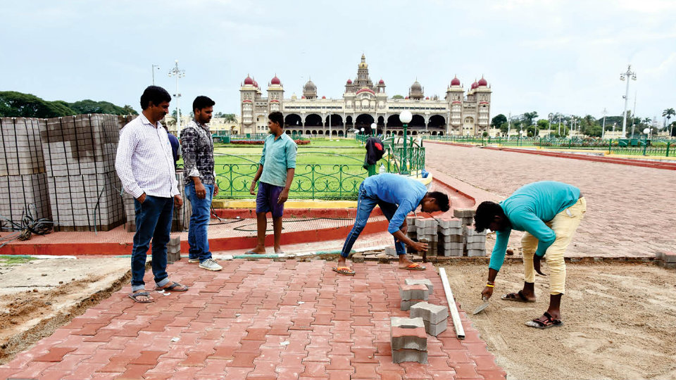 ಚಲನವಲನ ಗಮನಿಸಲು ನಿಗಾ ವಹಿಸಿದ ಅರಣ್ಯ ಇಲಾಖೆ