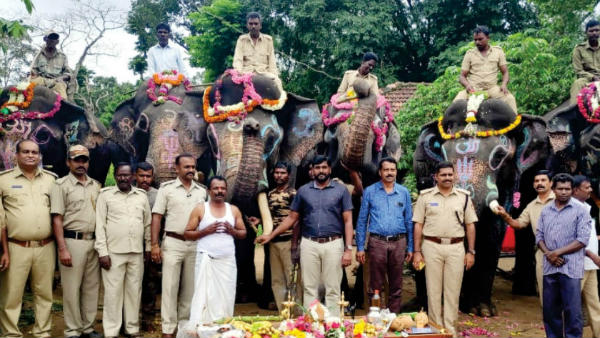 ದಸರೆಯಲ್ಲಿ ಭಾಗವಹಿಸಲಿವೆ 14 ಆನೆಗಳು