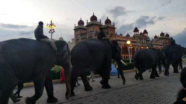 ದುರ್ಗಾಪರಮೇಶ್ವರಿಗೆ ಇದು 8ನೇ ದಸರಾ