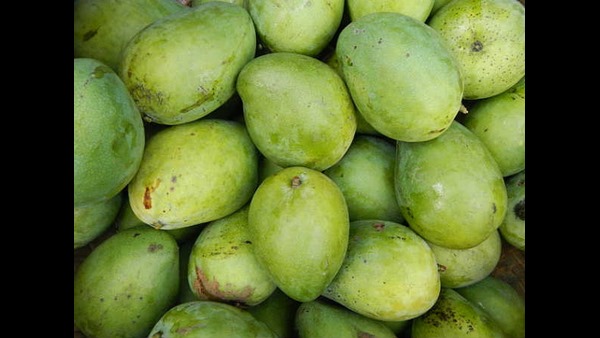 ಅಪ್ಪೆ ಹುಳಿಗೆ ಏನೆಲ್ಲಾ ಬೇಕು?