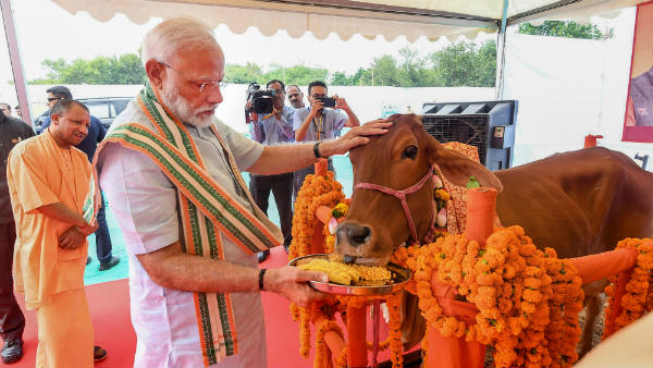 ಈಗಲೇ ಎಲ್ಲವನ್ನೂ ಹೇಳುವುದು ತಪ್ಪಾಗುತ್ತದೆ
