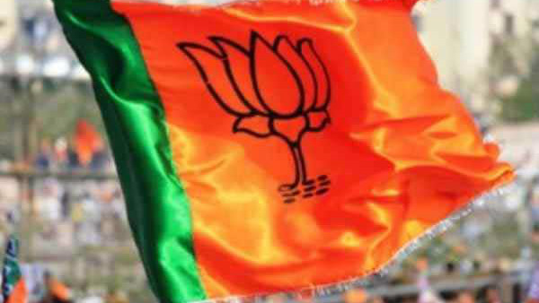 ಬಿಜೆಪಿಯಿಂದ ಹರೀಶ್ಗೆ ಟಿಕೆಟ್ ಯಾಕೆ?