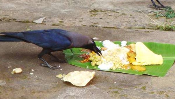 ಪಿತೃ ಕಾರ್ಯಕ್ಕೂ ಜಾತಿ-ಭೇದವಿಲ್ಲ