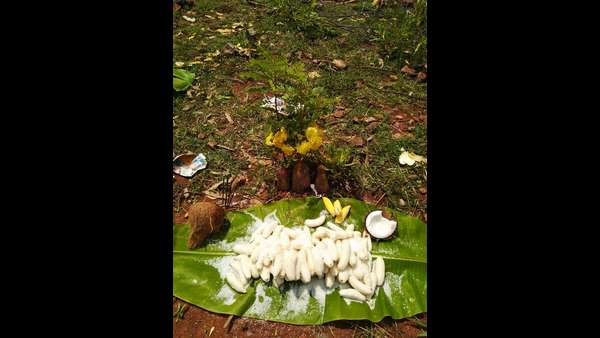 ಮಳೆಯಾಗಲೆಂದು ದೇವರಿಗೆ ಸಿಹಿಯ ಹರಕೆ