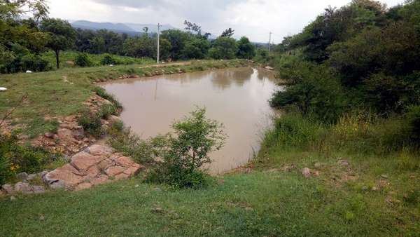 ಪ್ರಾಣಿ ಪಕ್ಷಿಗಳಿಗೆ ನೀರಾಸರೆ