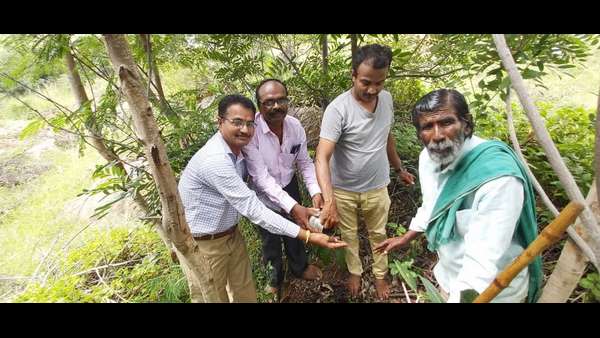 ನೀರಿನೊಂದಿಗೆ ಪ್ರಕೃತಿಯ ಅಭಿವೃದ್ಧಿ
