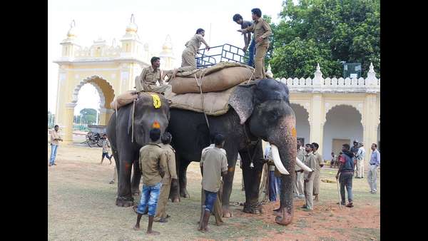 ಪಾಷಾರಿಂದ ತರಬೇತಿ